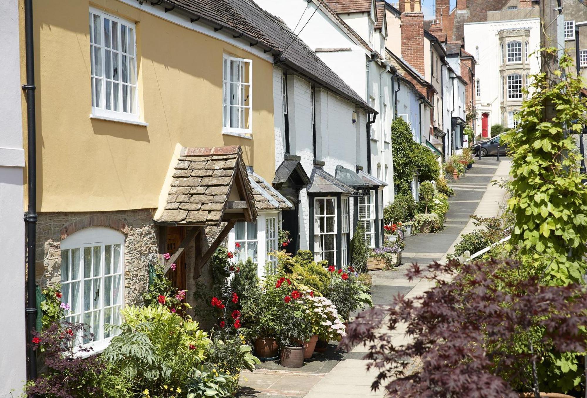 Bearwood Cottage Pembridge ภายนอก รูปภาพ